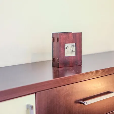 Dream Nerva Apartment